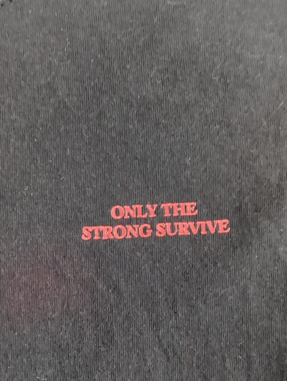 Urban Outfitters Light Before Dark Only The Strong Survive Cropped Long Sleeve - Picture 6 of 9
